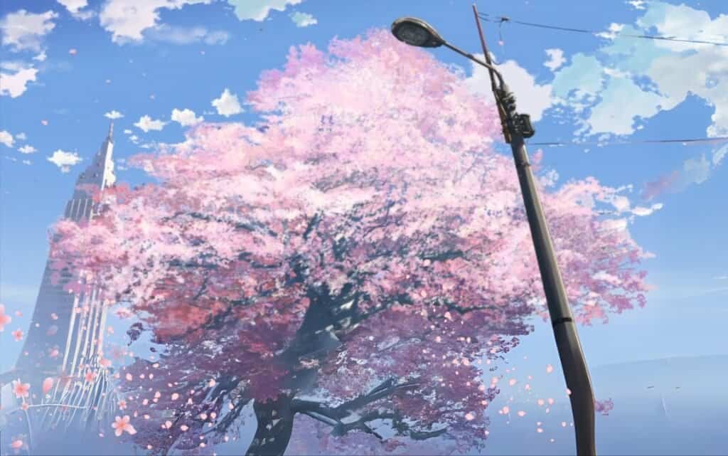 Cherry Blossoms Falling